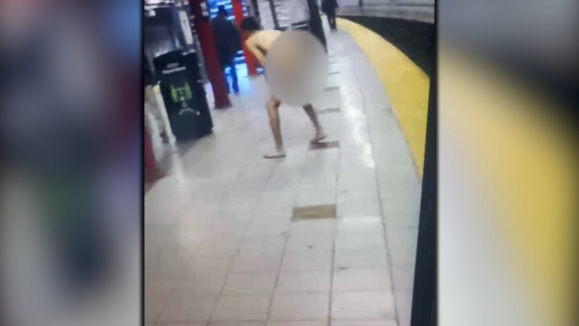 Beautiful girls without pants