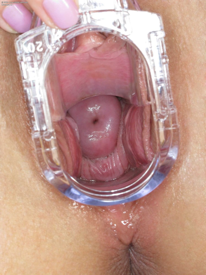 Women's vagina from the inside