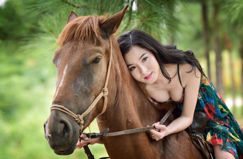 Girl on a horse