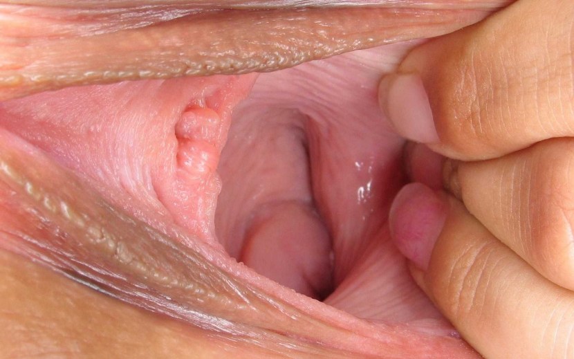Inside the vagina is large
