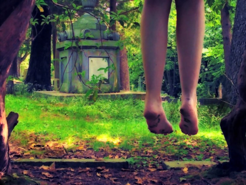 The silhouette of a dead tree