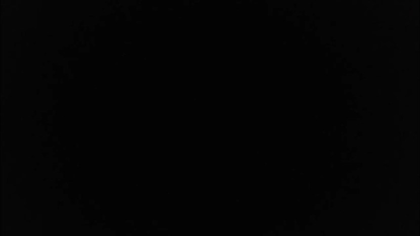 Passionate kisses in the neck