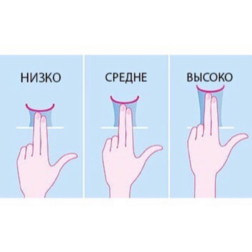 The length of the vagina