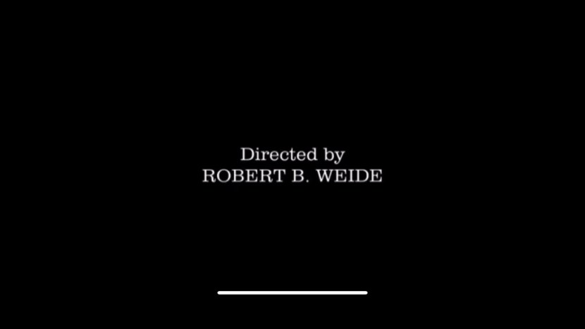 Robert director in Weide