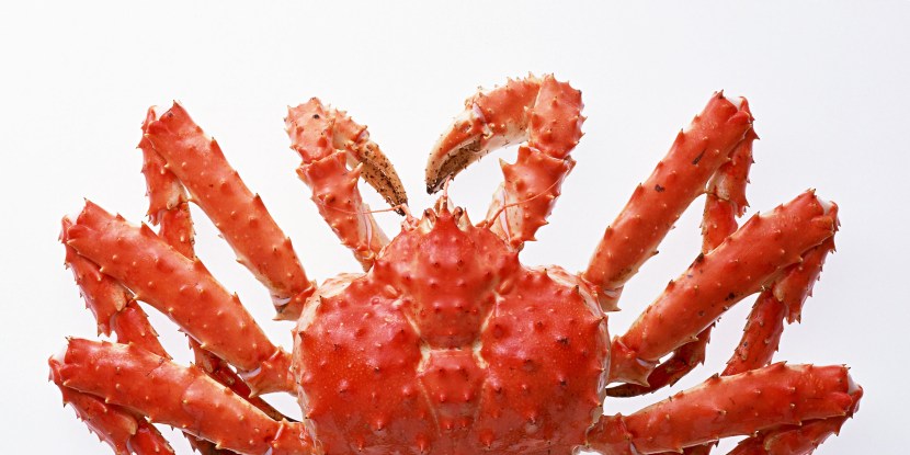 Crab Kamchatsky