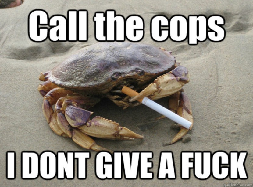 Funny crab