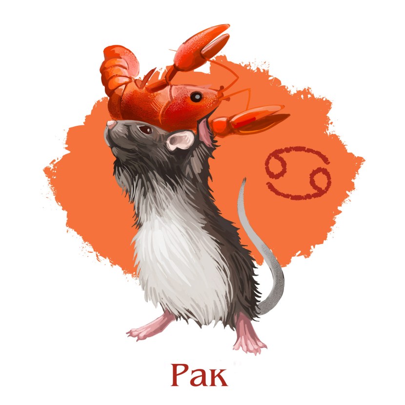 Image of a rat for a zodiac