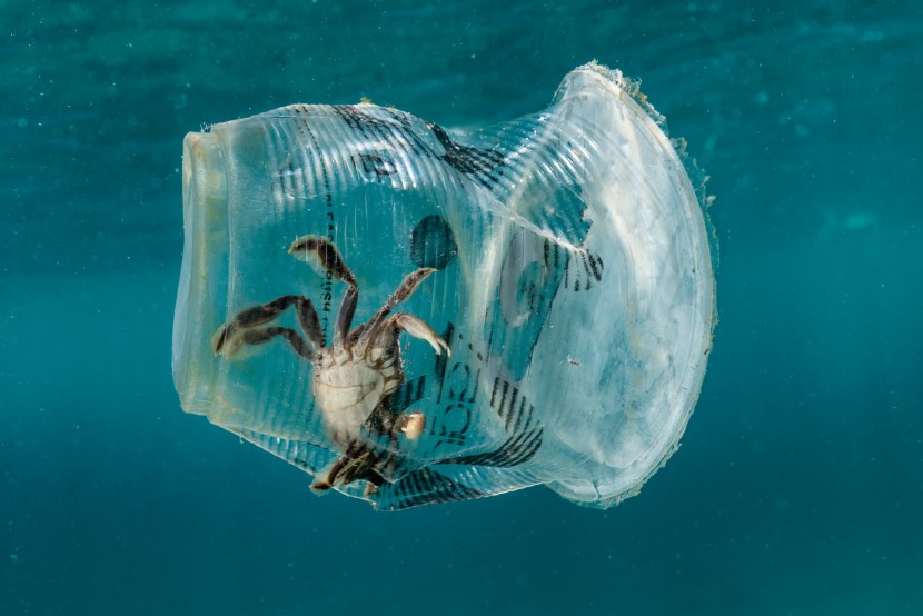 Plastic in the ocean