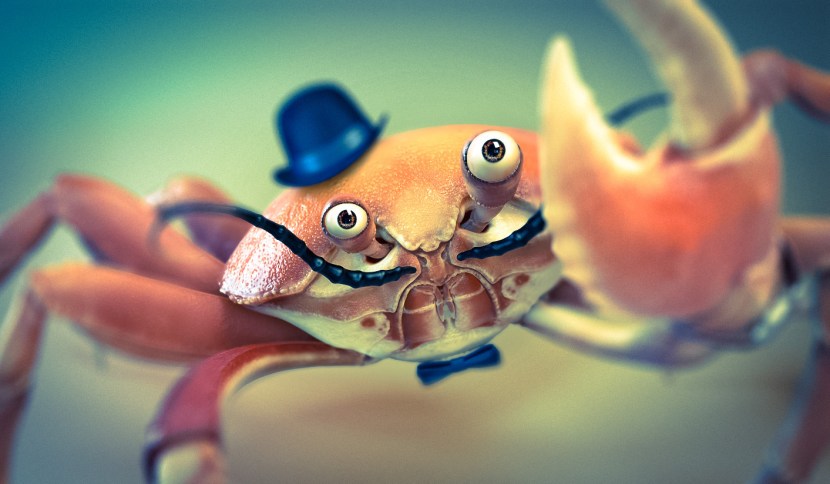 Cute crabs