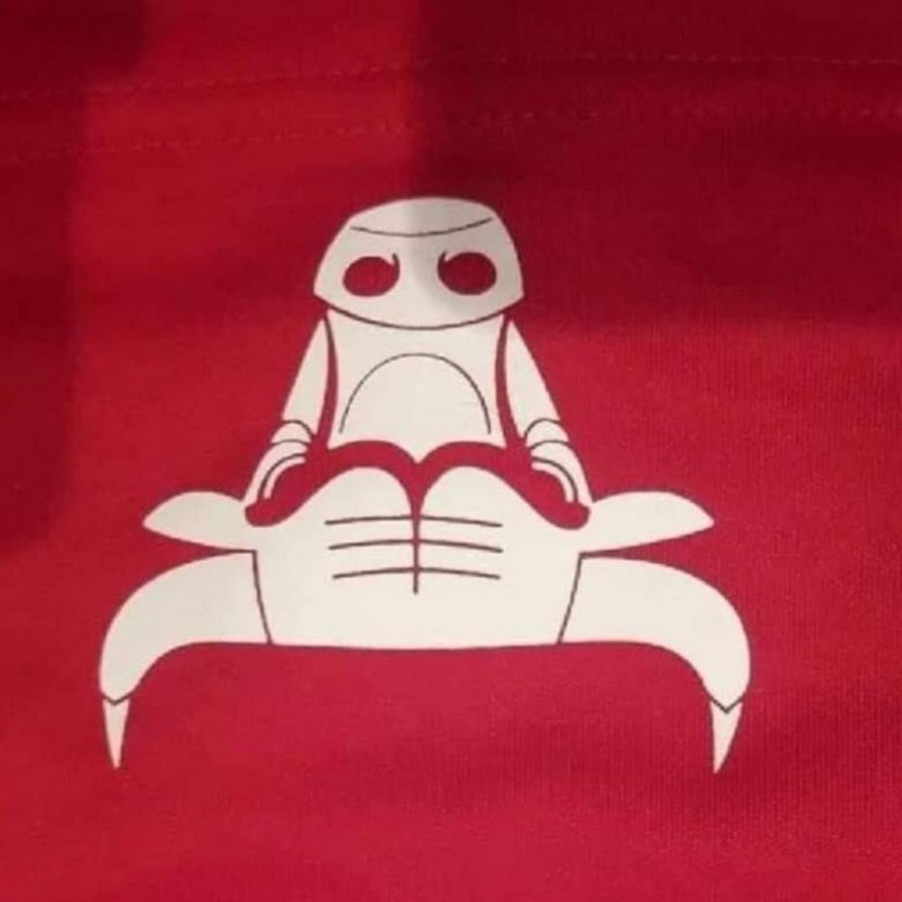 Chicago Bulls Robot Crab