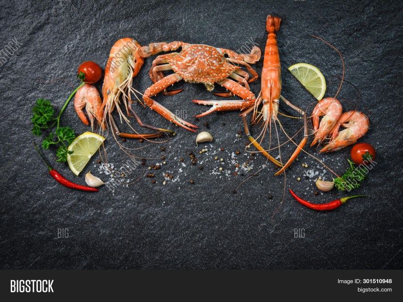 Shrimp on top of the dark