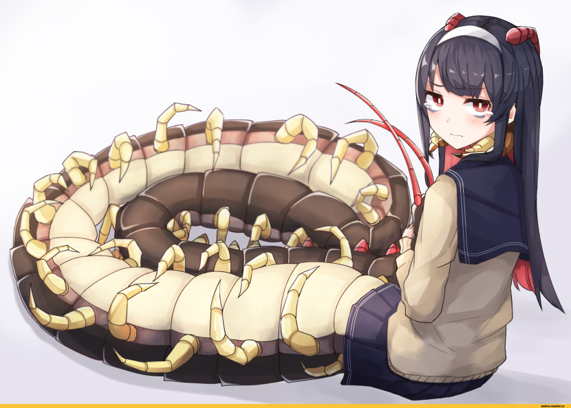 Monster Girl Anime Scolopendra