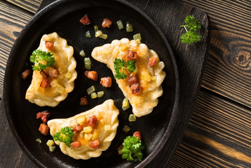 Dumplings in a plate vector