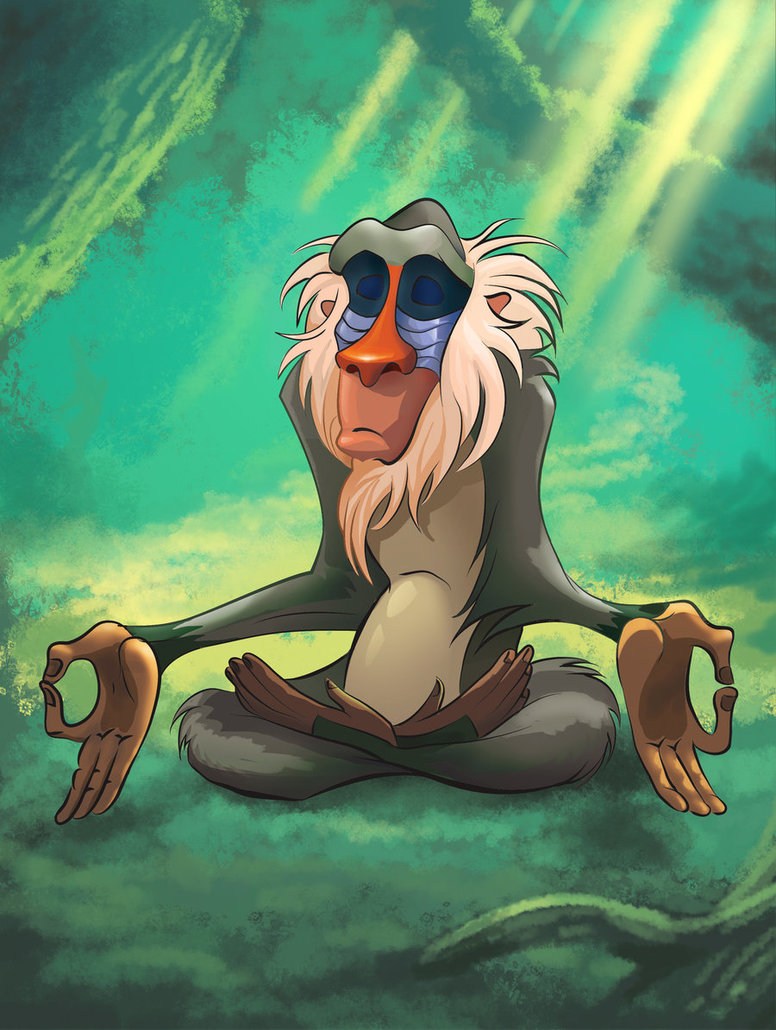 King Leo Monkey meditates