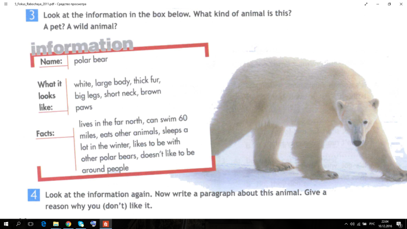 Read and circle the correct answer