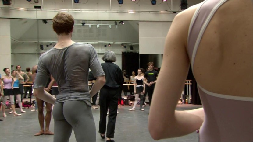 Roadkill Cartoon 2019