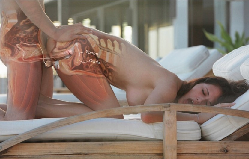 Double penetration into pussy and ass