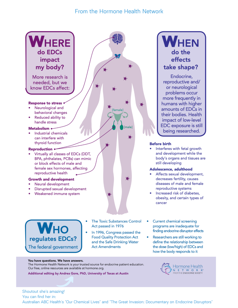 Breast Cancer Diagnosis and Screening
