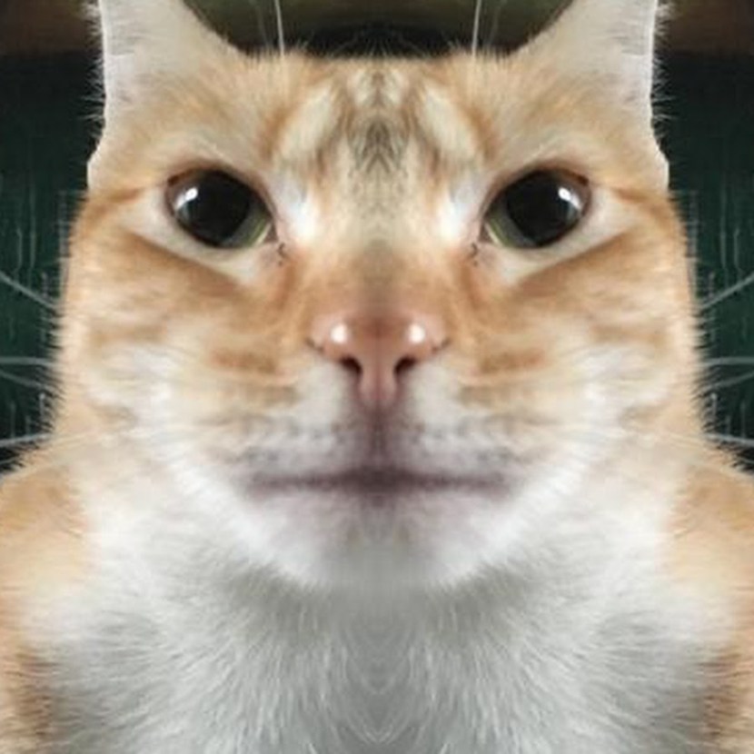 Pregnant fucks a black man