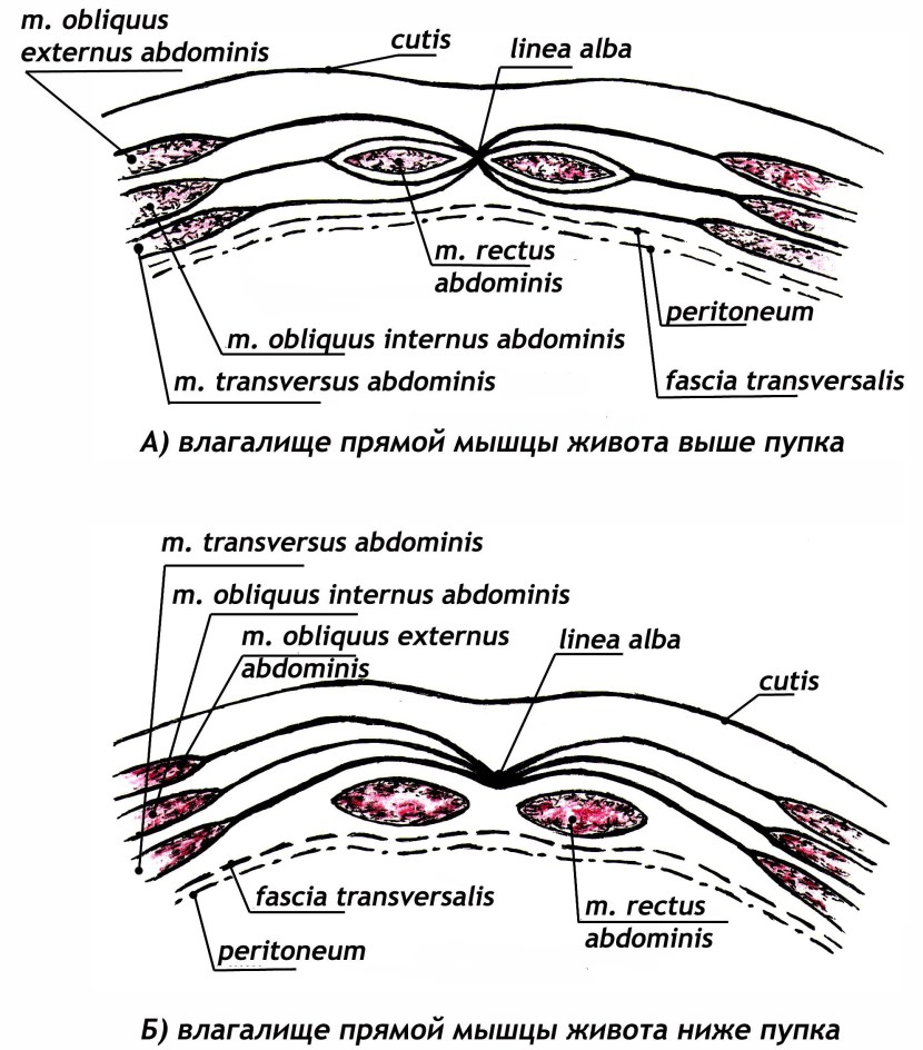 Match The Words To Form Phrases