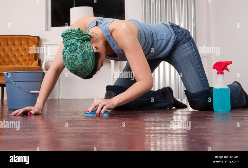 The Last of US 2 Ellie and Dina