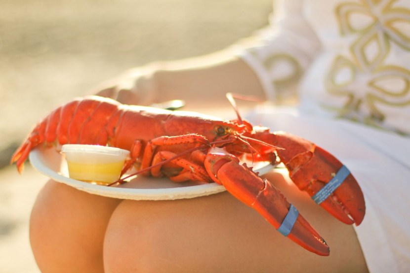 Mandibules in crustaceans