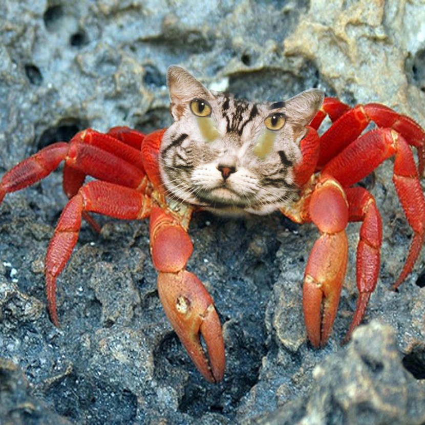 Many beautiful naked asses