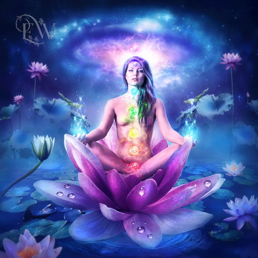 Lotus Padmasana drawing