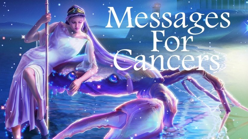 Miya Malkovich 365. Zharko