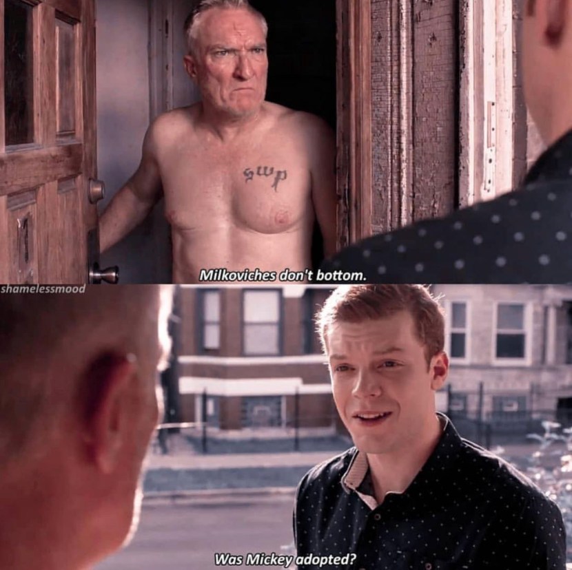 The shameless series of art