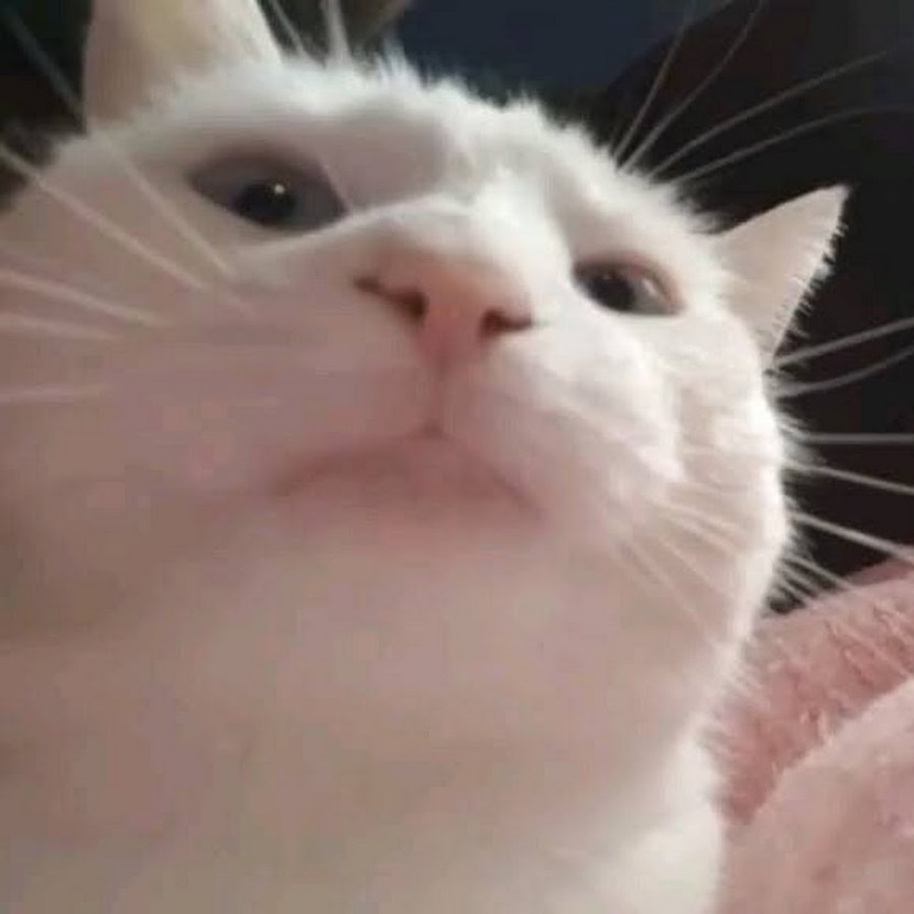 Rebecca Linares Gangbang