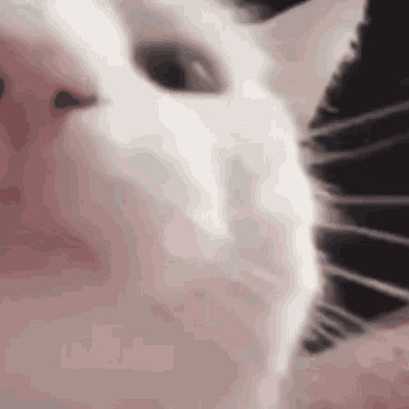 Porn industry festival