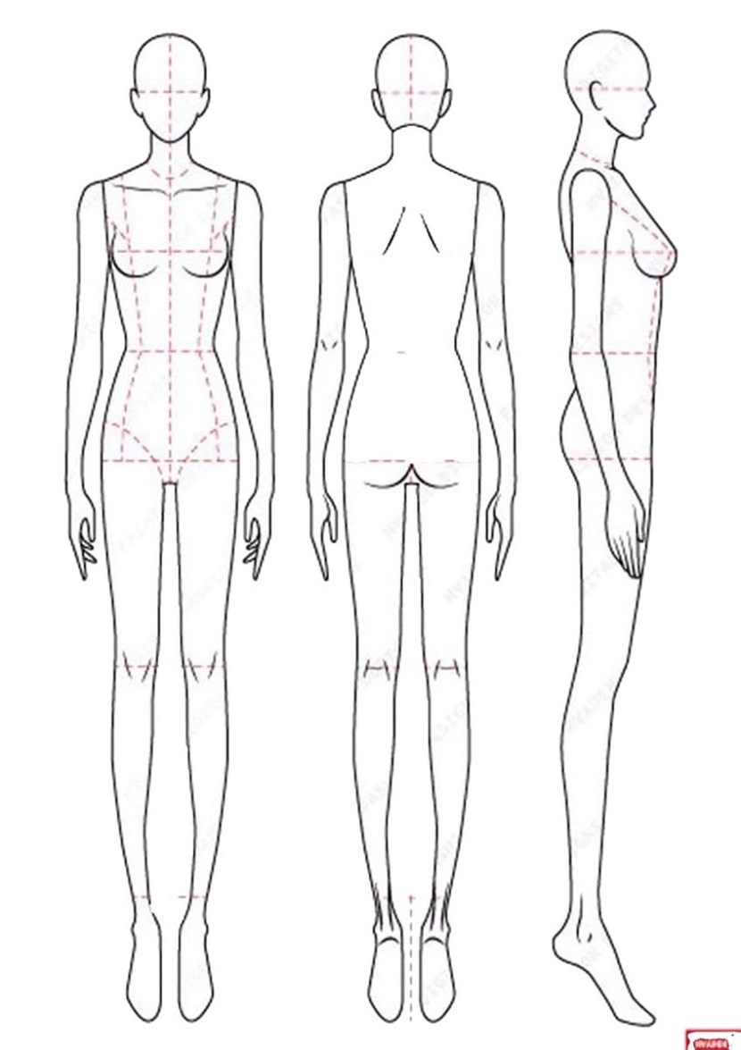 Models for drawing clothes