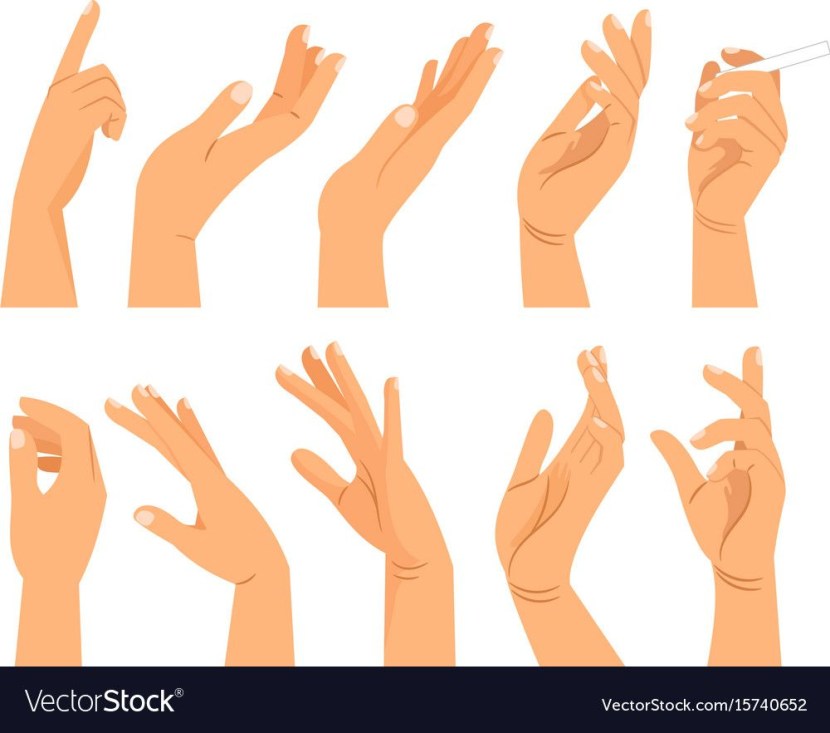 The hand of the hand vector