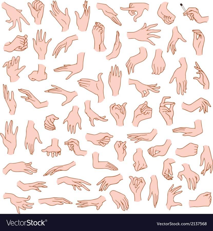 The outline of female hands