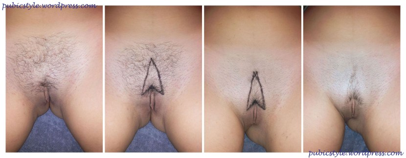 Pubic hair model