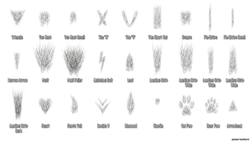 Heavily Hairy Pubis in full growth