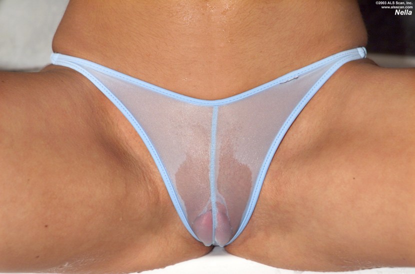 Pussies in transparent panties