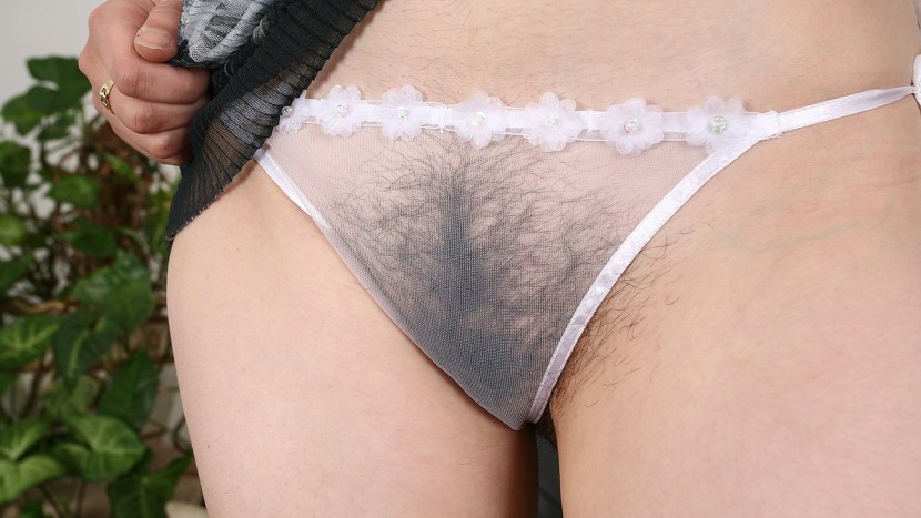 Panties with a cut hairy retro