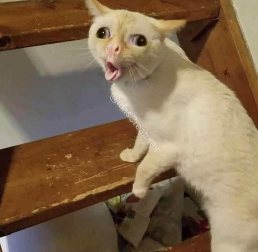 Tattoo slave stigma XXX