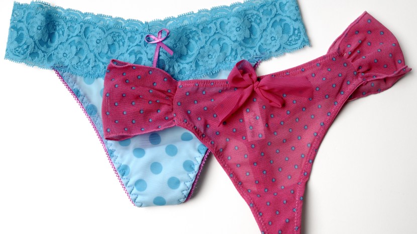 Camel paws in girls on the street