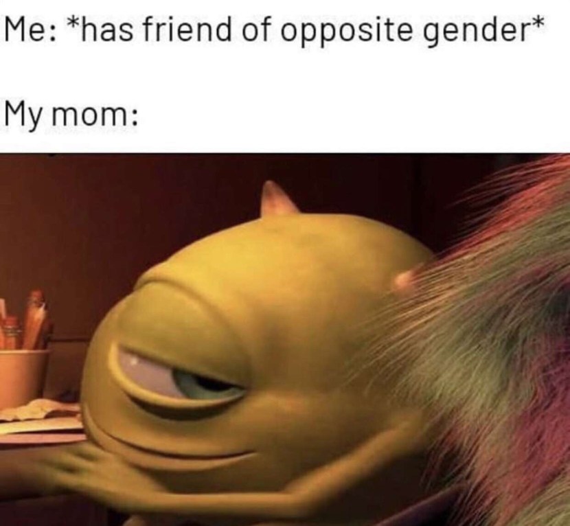 Pronouns in English Have Has