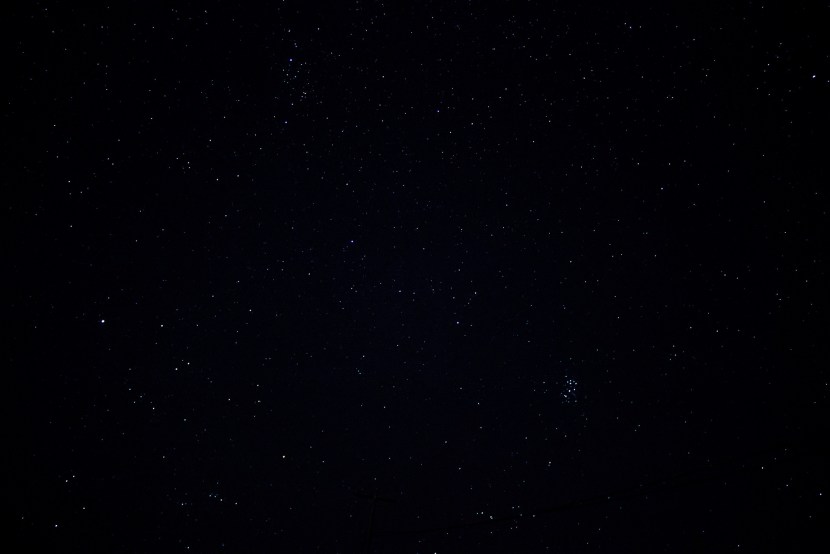 Wonfamile Katerina Kitel