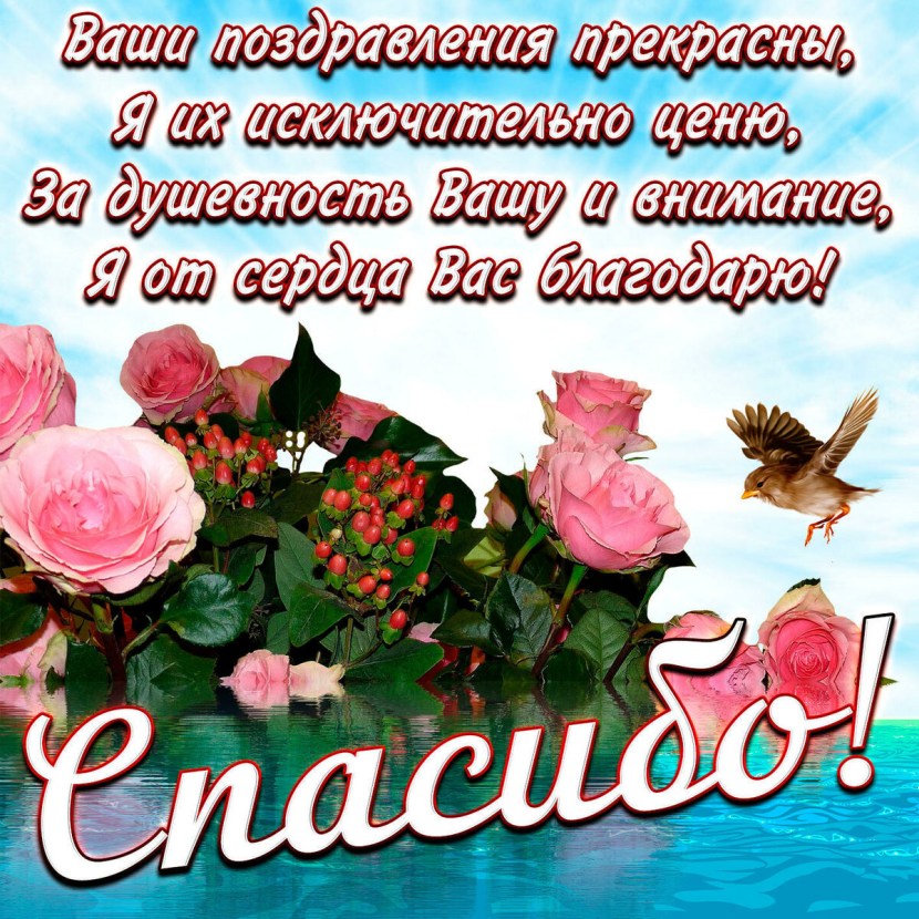 Thanks congratulations
