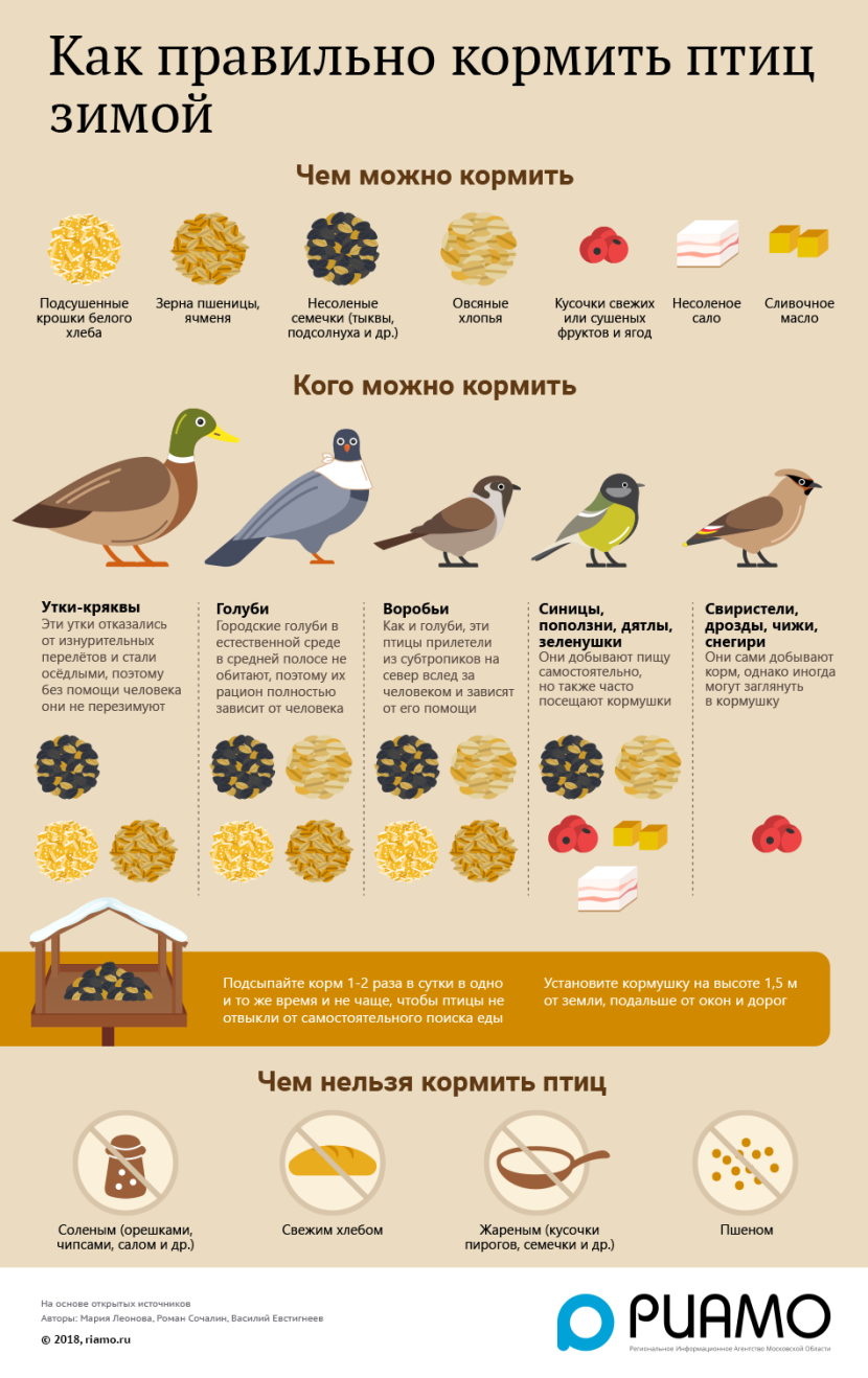 What kind of cereal can be given to birds