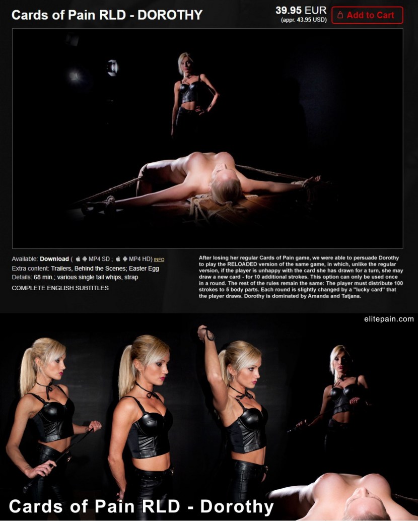 Wheel of Pain flogging vagina