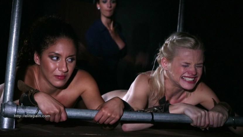 Spinal binding diagram with internal organs