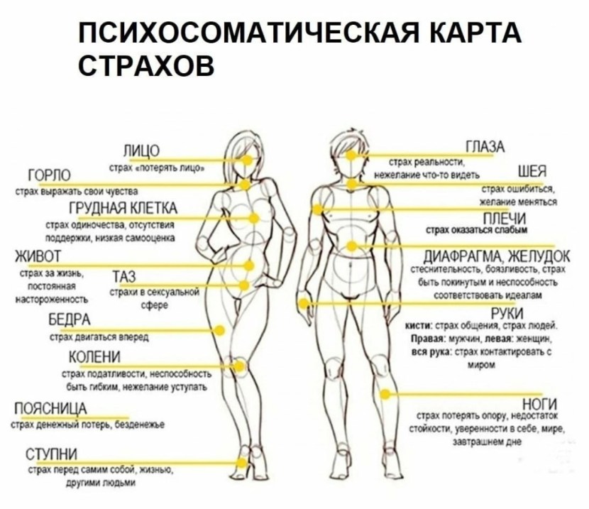 Customer's path Customer Journey Map examples