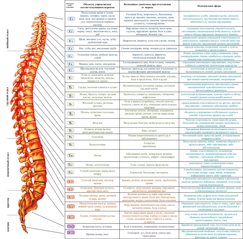 View pornography Statistics by countries