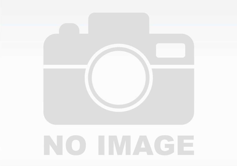 Patriarch Tikhon Icon